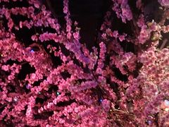 -路边边.炒菜烧烤.音乐餐厅(良乡长虹店)