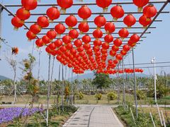 -芒洲湿地公园