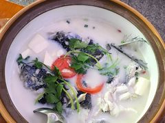 -全乐鱼馆·淳牌有机鱼直营店
