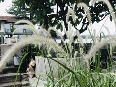 -喜洲吧·江畔老船厂·庭院餐厅(喜临院店)