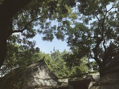 -北京国子监胡同