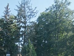 -谢尔盖圣三一大修道院