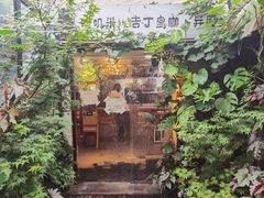 -吉丁鸟咖·异宠·寄养