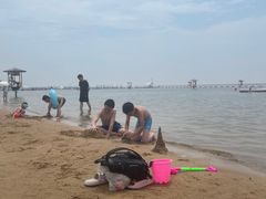-碧海金沙