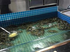 -福禧荟·海鲜自助