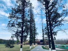 -黄海国家森林公园