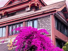 -成都市文化公园