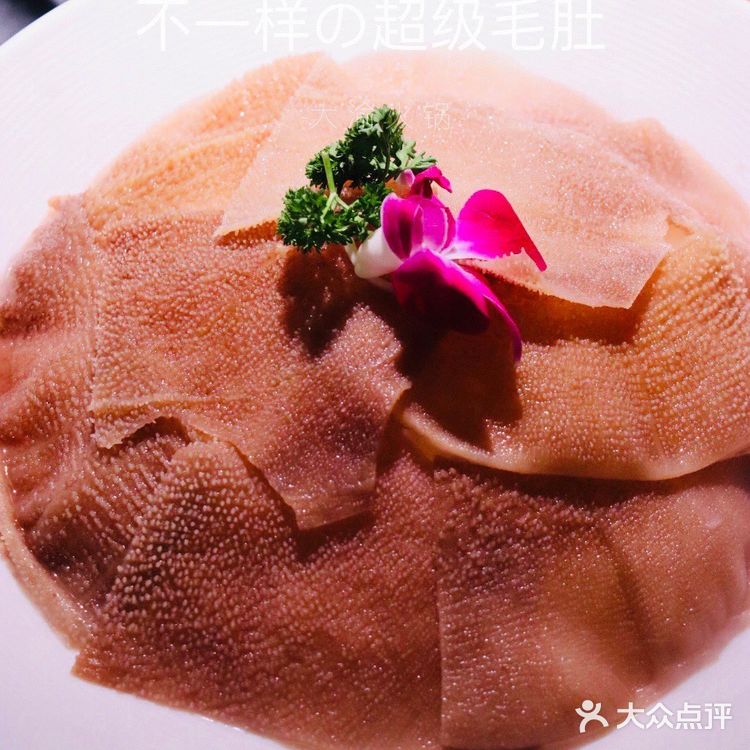 全国超人气连锁300家，吃火锅还是选大渝。
