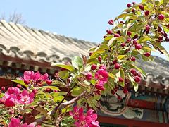 -元大都城垣遗址公园