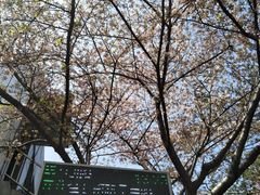 -上海南浦大桥长途旅游客运站