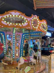 -卡通尼·Safari非洲探索乐园·生日会(金桥国际商业广场店)