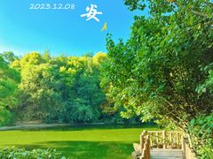-深圳国际园林花卉博览园