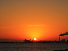 -上海吴淞炮台湾国家湿地公园