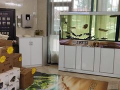 -聊城口腔医院