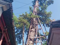 -潭柘寺景区