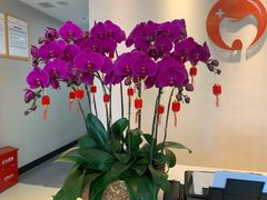 -土豆口腔(凤凰北总店)