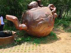-东湖落雁景区