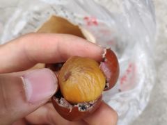 -王老头炒货(天坛东路店)