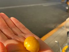 -栗满秋(燕丰西坝河店)