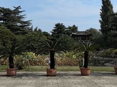 -国家植物园南园