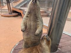 -南戴河国际娱乐中心