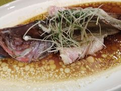 -泉龙渔村·粤式早茶·金牌烧鹅(中山三乡店)