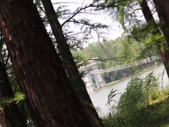 -东湖落雁景区
