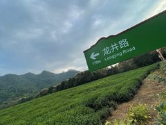 -野蔓果·山野菜(西湖景区·龙井茶田店)