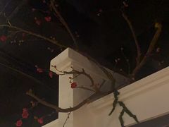 -春天来了(印象新天地店)