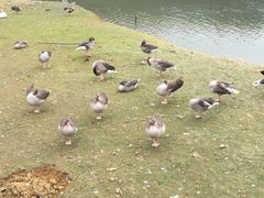 iphone_upload_pic-千岛湖龙川湾