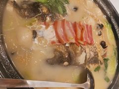 鱼头煲-合肥皇冠假日酒店·菲亚斯特自助餐厅(黄山路店)