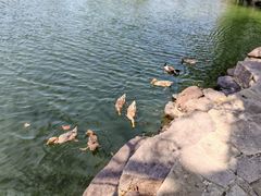 -台州府城(东湖)