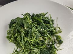 -拾久(朝阳公园店)