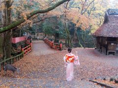 -枫雅和服体验(奈良店)