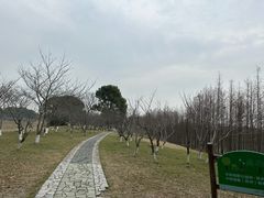 -苏州太湖国家湿地公园