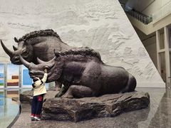 -大庆市博物馆