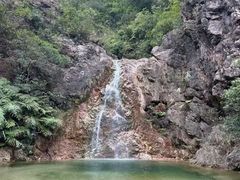 -南海湾森林生态园