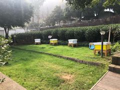 -自在弥林花园餐厅(云栖店)