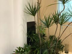 -XI·LaundryCafe 喜咖自助洗衣咖啡店