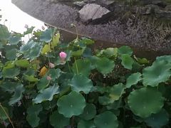 -西南政法大学(渝北校区)