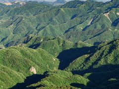 -六里坪国家森林公园