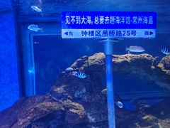 -常州海昌海洋探索馆