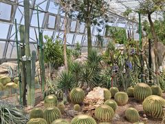 -北京植物园-展览温室