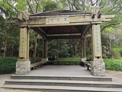-上海吴淞炮台湾国家湿地公园