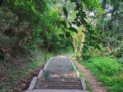 -青龙山国家森林公园