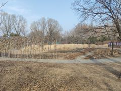 -北京麋鹿生态实验中心