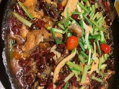 -老板恋上鱼(高新万达店)