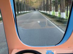 -黄海国家森林公园