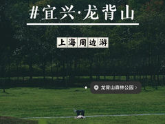 -宜兴龙背山森林公园
