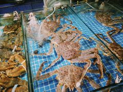 -青岛沙子口国家中心渔港